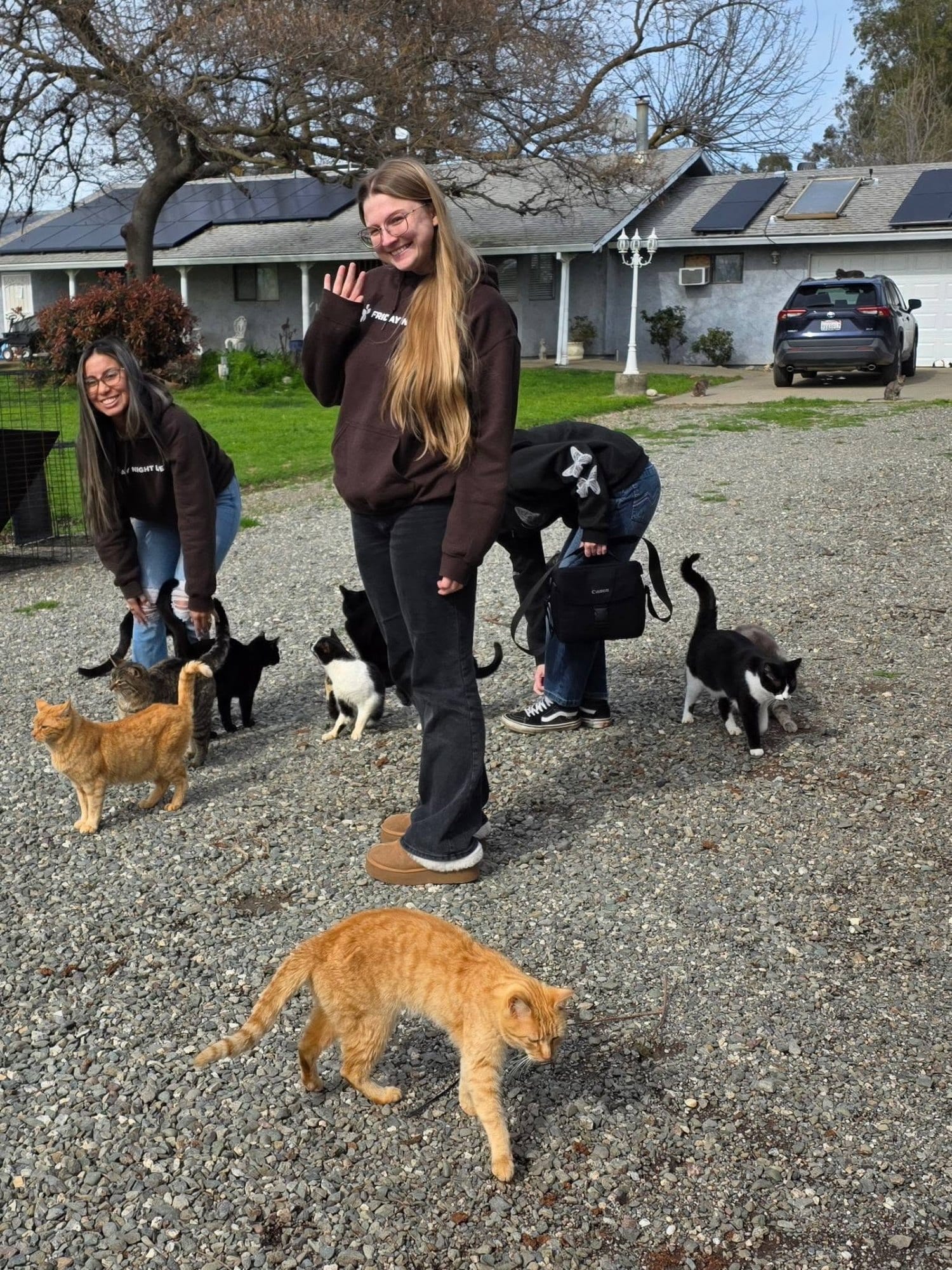 Hidden Treasures volunteers out on the grounds with the cats